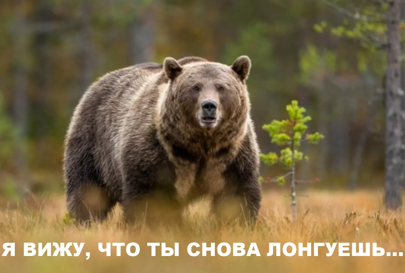 Индекс еще может обновить минимум. Наши опасения по рынку акций.